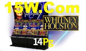 VIP Casino 14Pg
